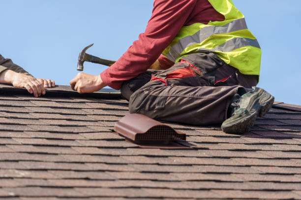 Best Roof Repair Services  in Wolf Point, MT