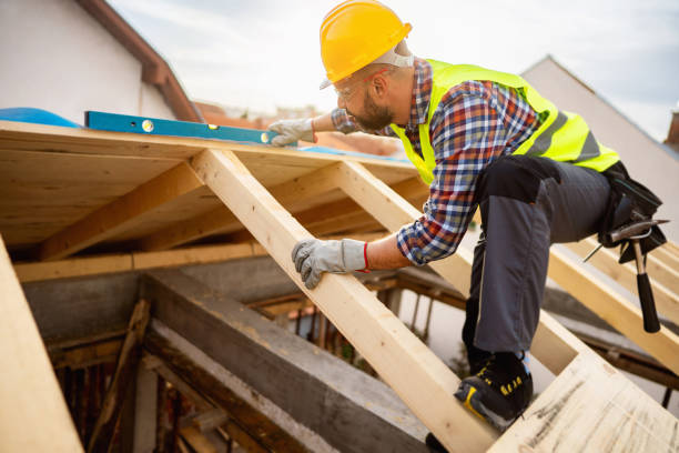 Best Roof Gutter Cleaning  in Wolf Point, MT