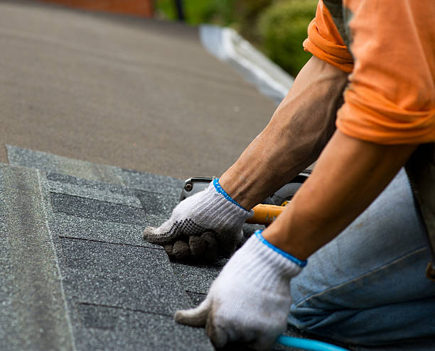 Best Roof Gutter Cleaning  in Wolf Point, MT