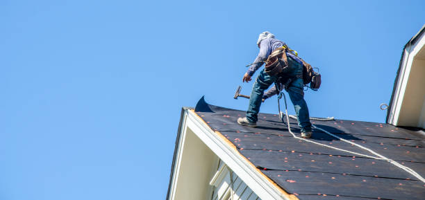 Best Sealant for Roof  in Wolf Point, MT